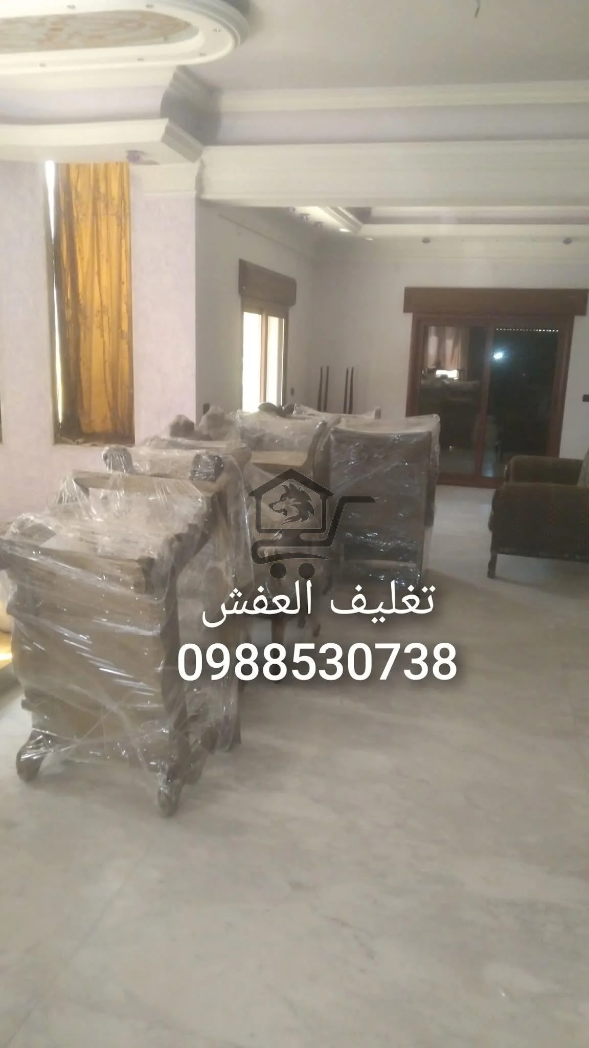 نقليات المحترفون - الصورة 2