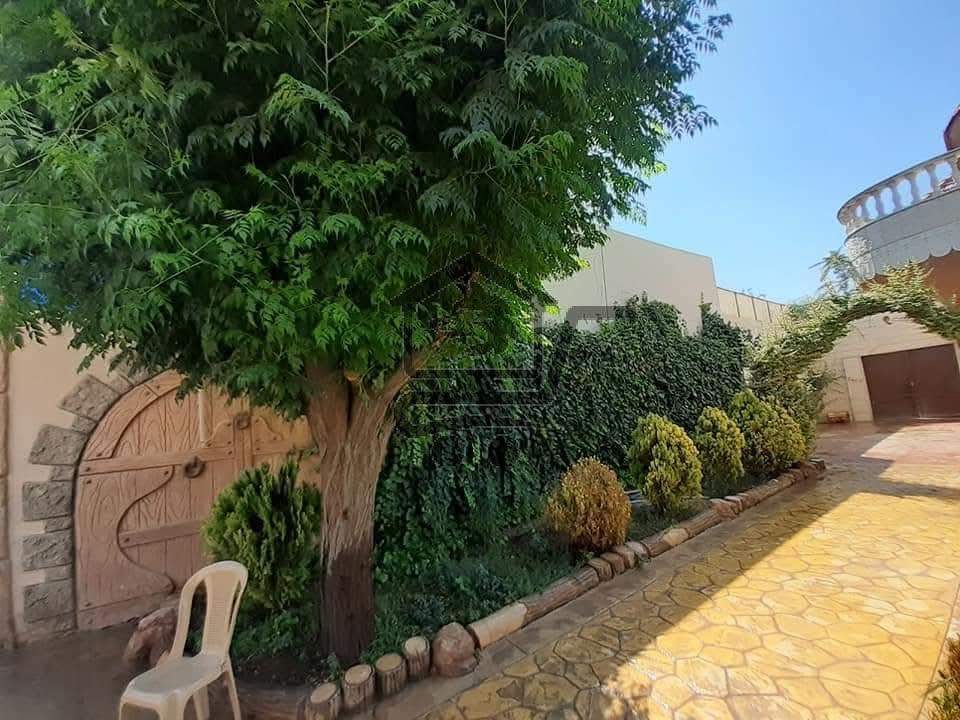 مزرعة مميزة _ داريا - الصورة 3