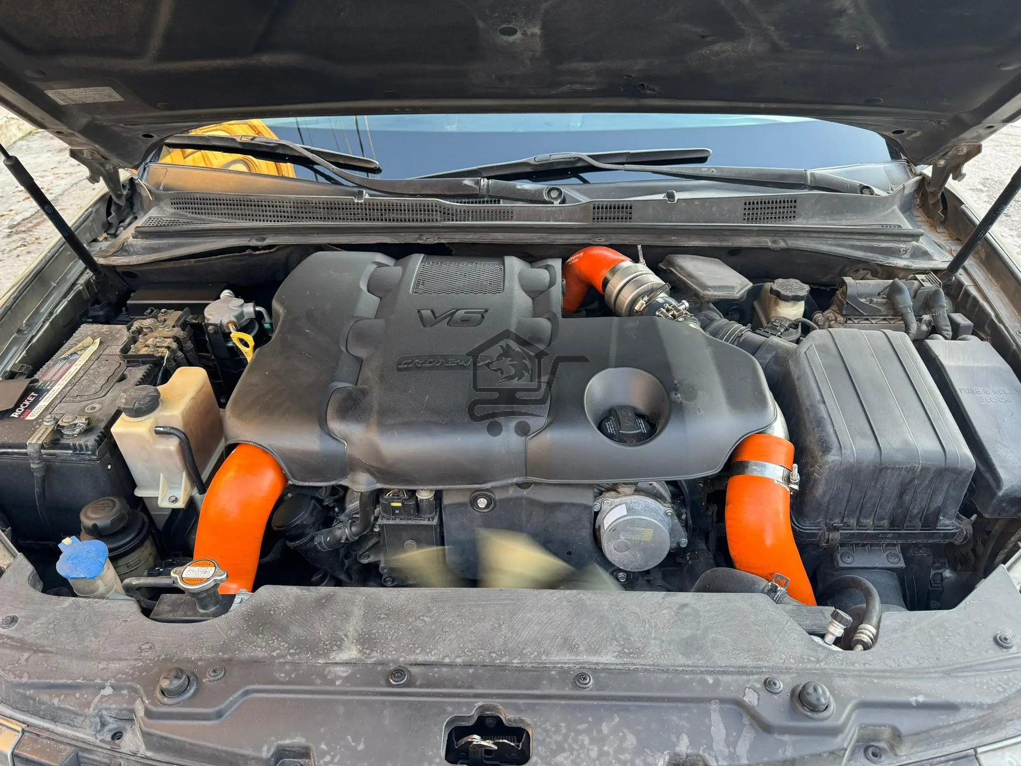 موهافي 2011 - الصورة 7