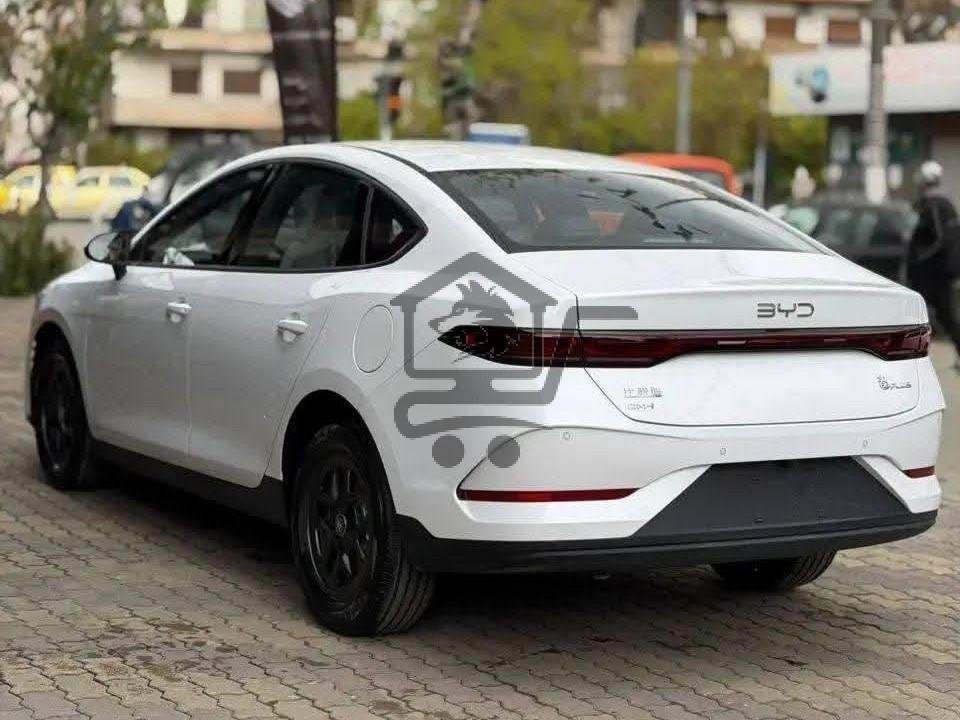BYD Qin Plus 2025 - الصورة 4