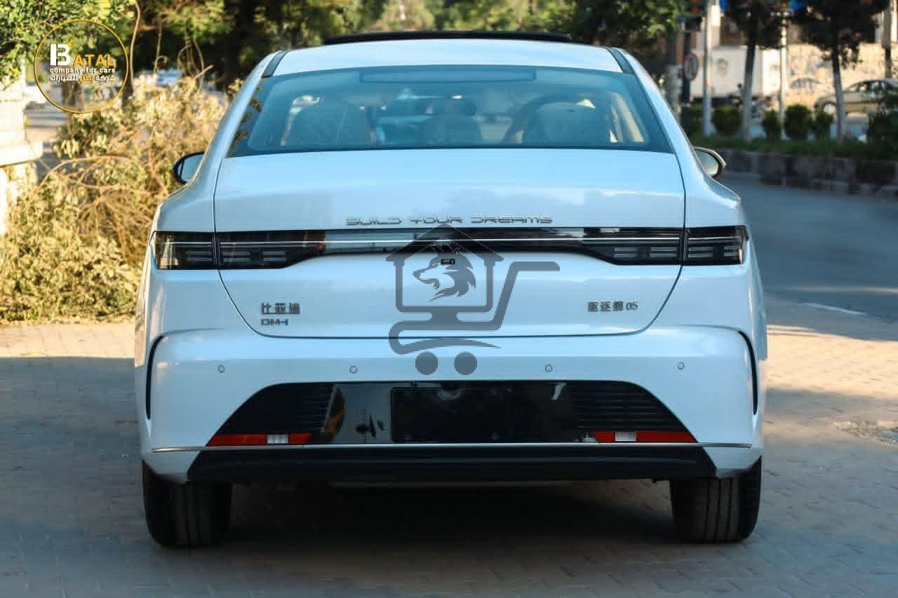 BYD DESTROYER - الصورة 8