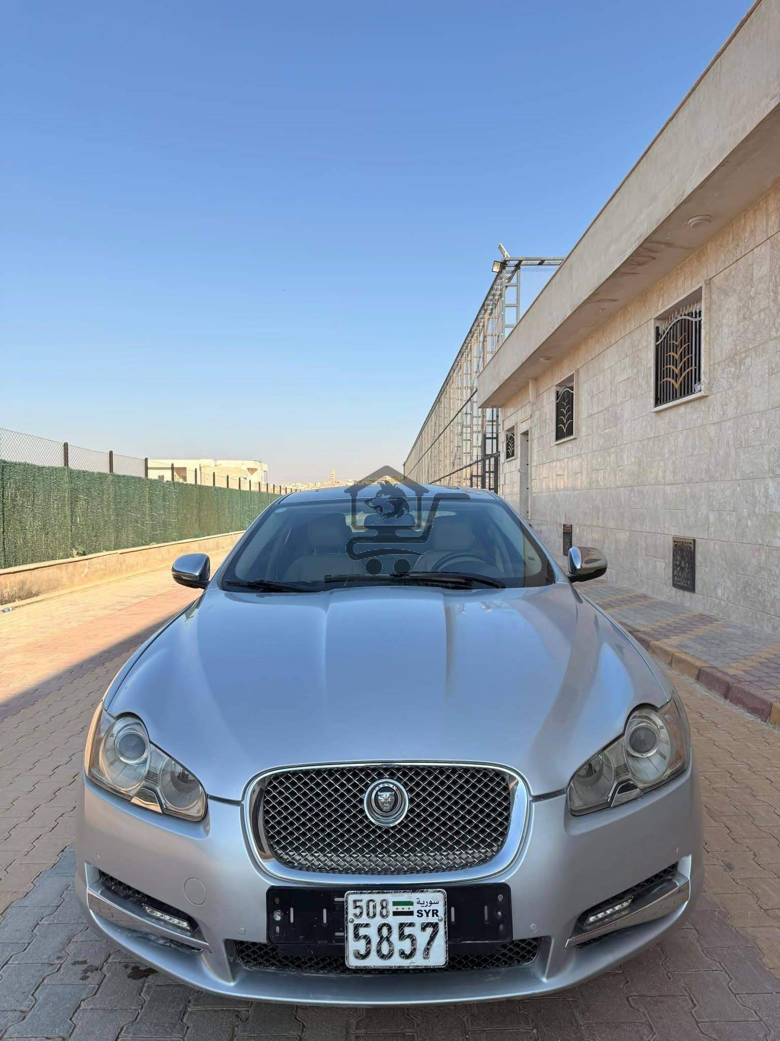 جاكور 2011 - الصورة 9