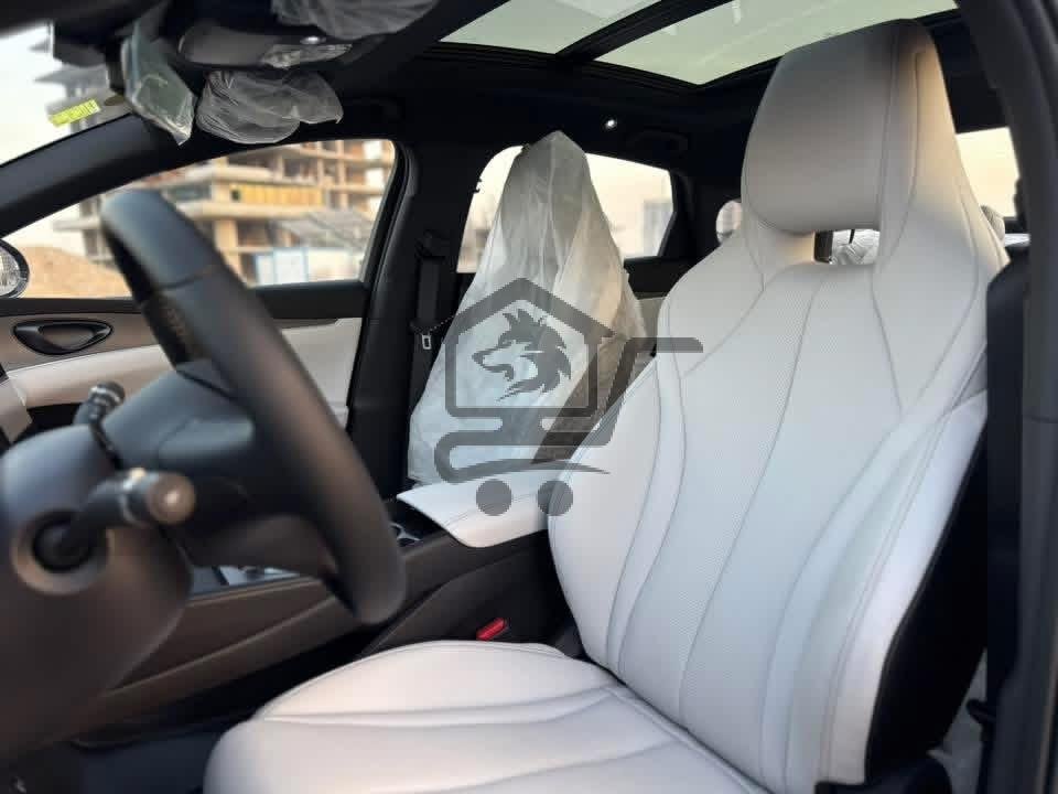 BYD - الصورة 5