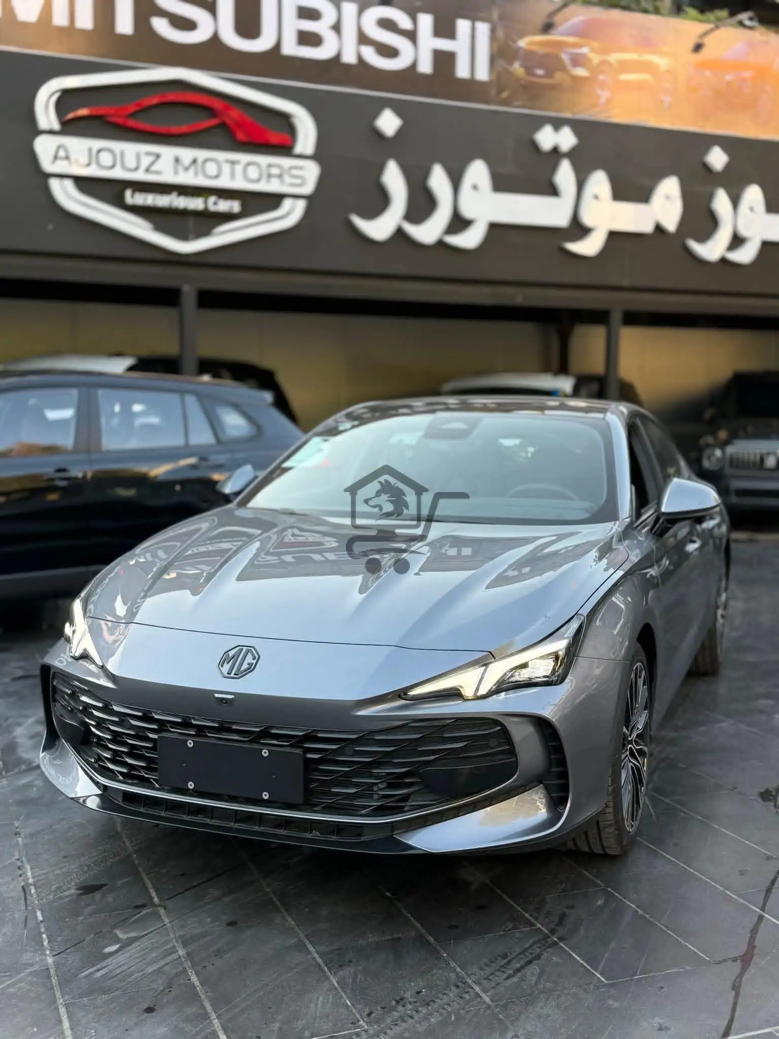 MG 7 - الصورة 7