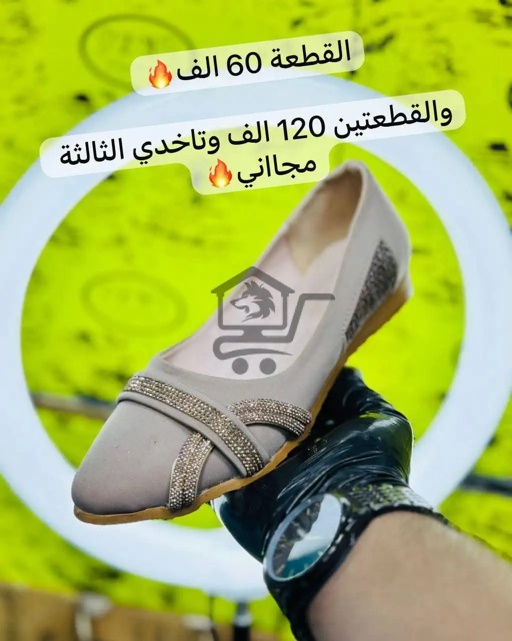 كندرة زحف - الصورة 4