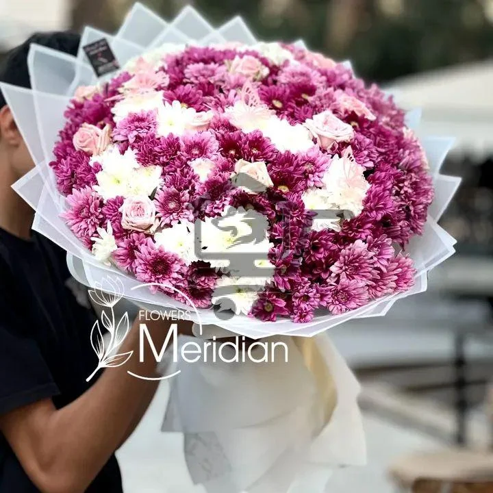 بوكيات Jambo - الصورة 2