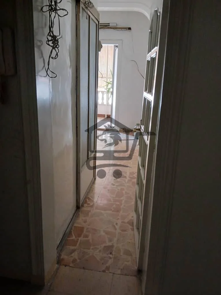 حلب سليمانية - الصورة 3