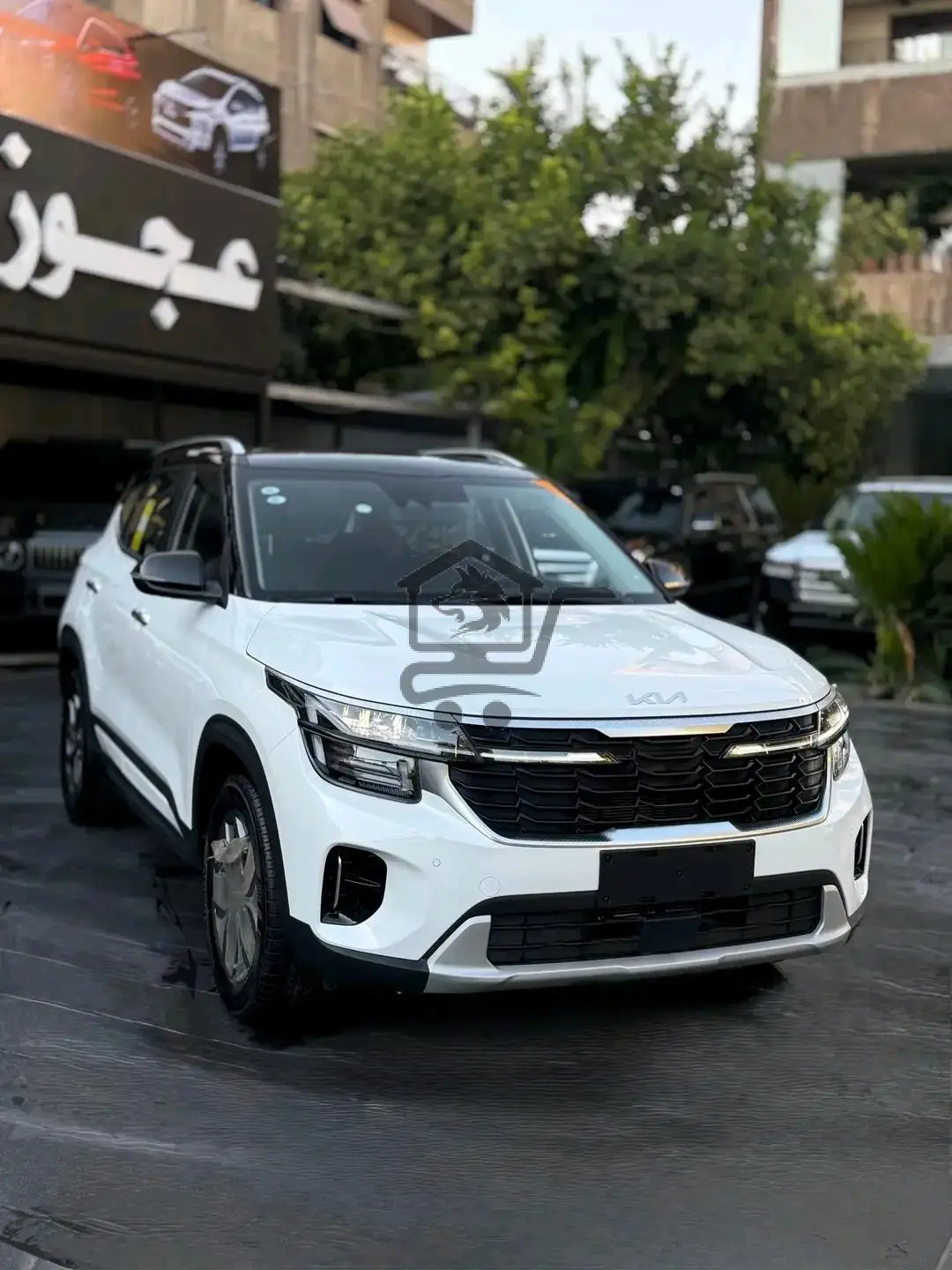 Kia Seltos - الصورة 2