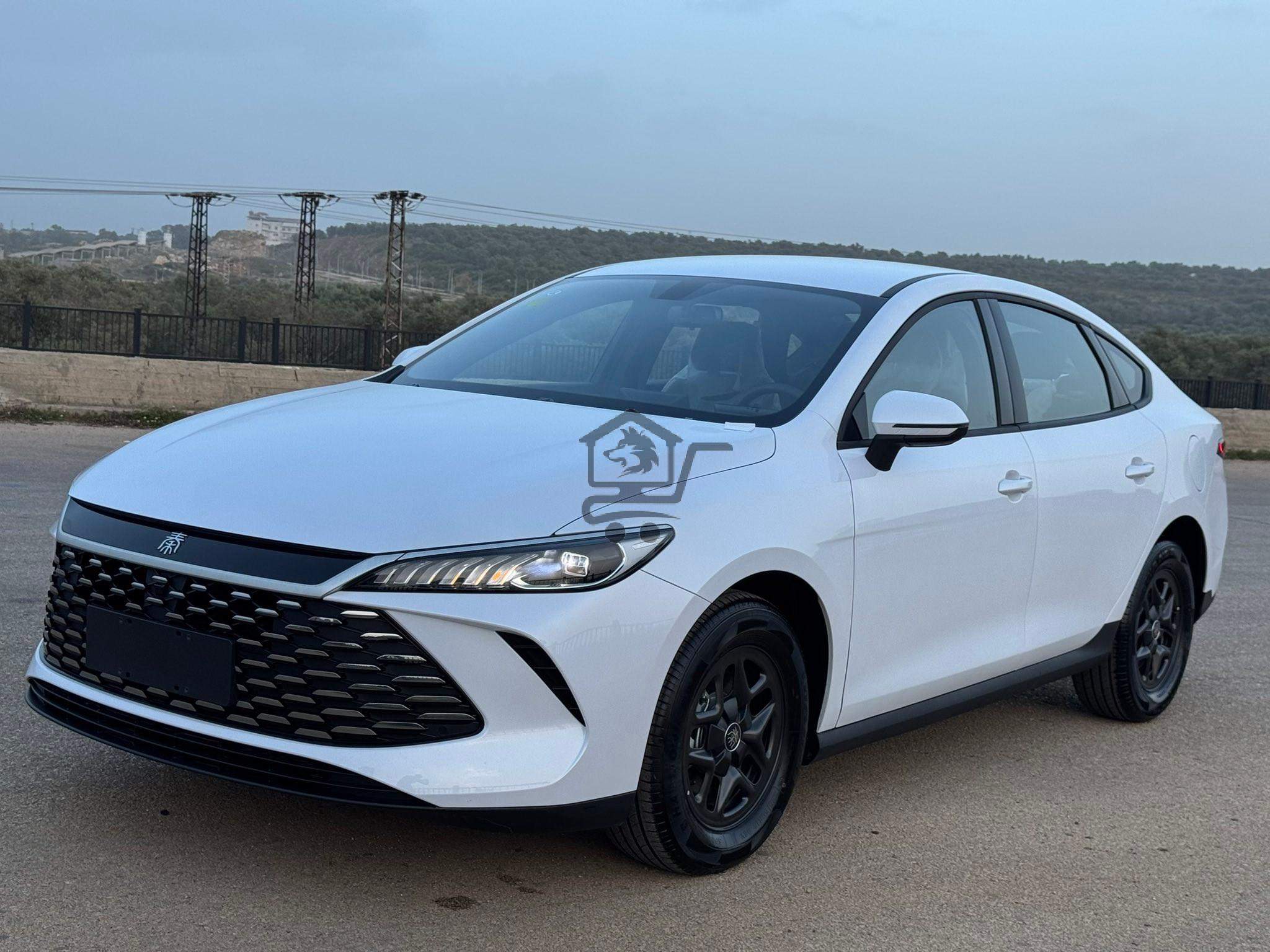 BYD Qin Plus - الصورة 3