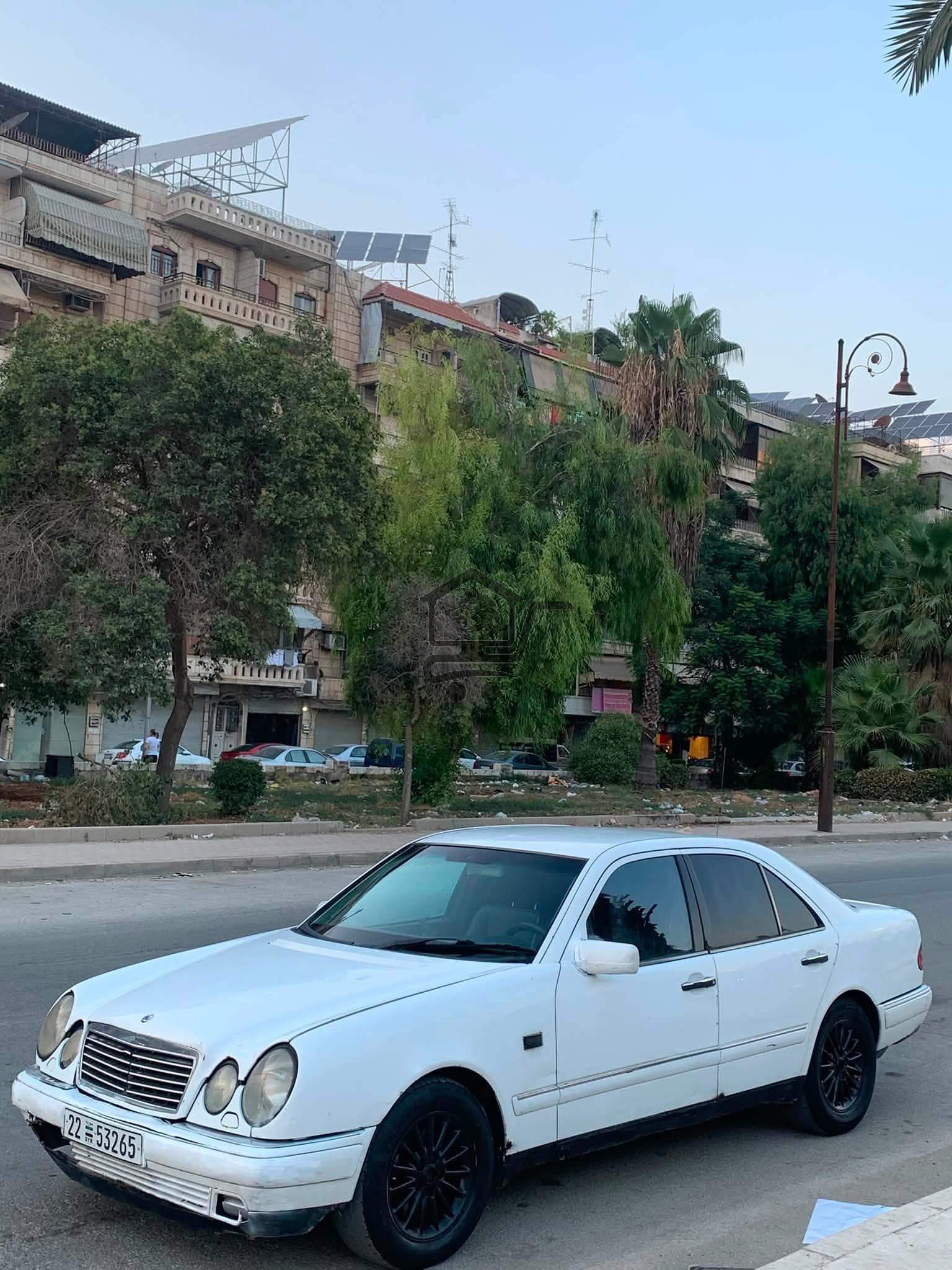 مرسيدس نملة - الصورة 1