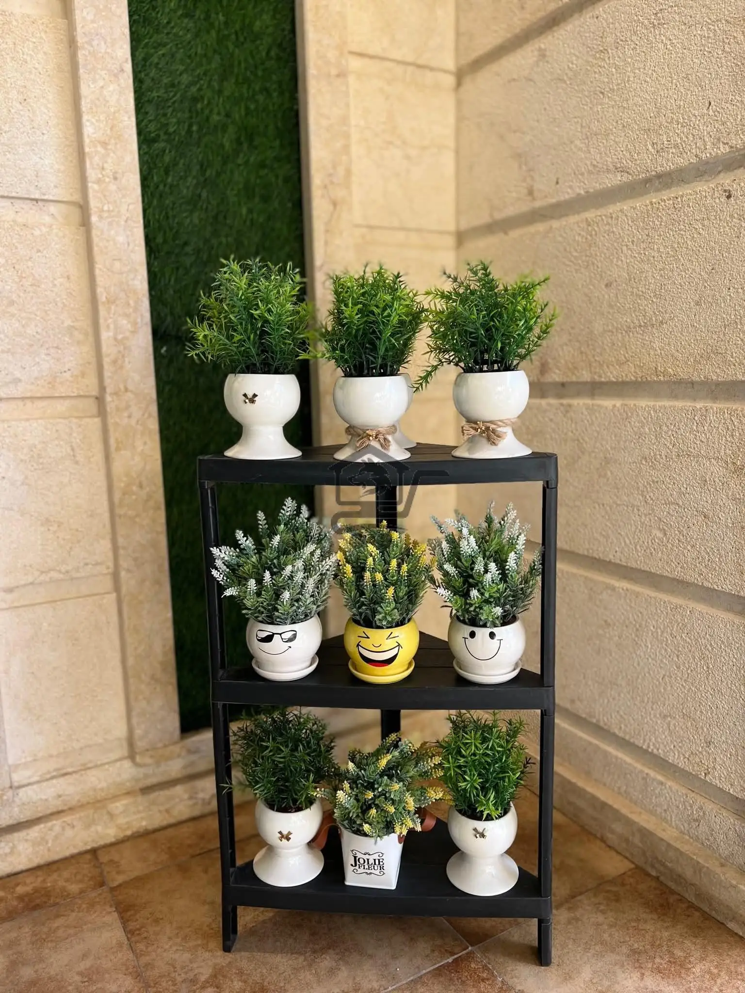 نباتات زينة - الصورة 1