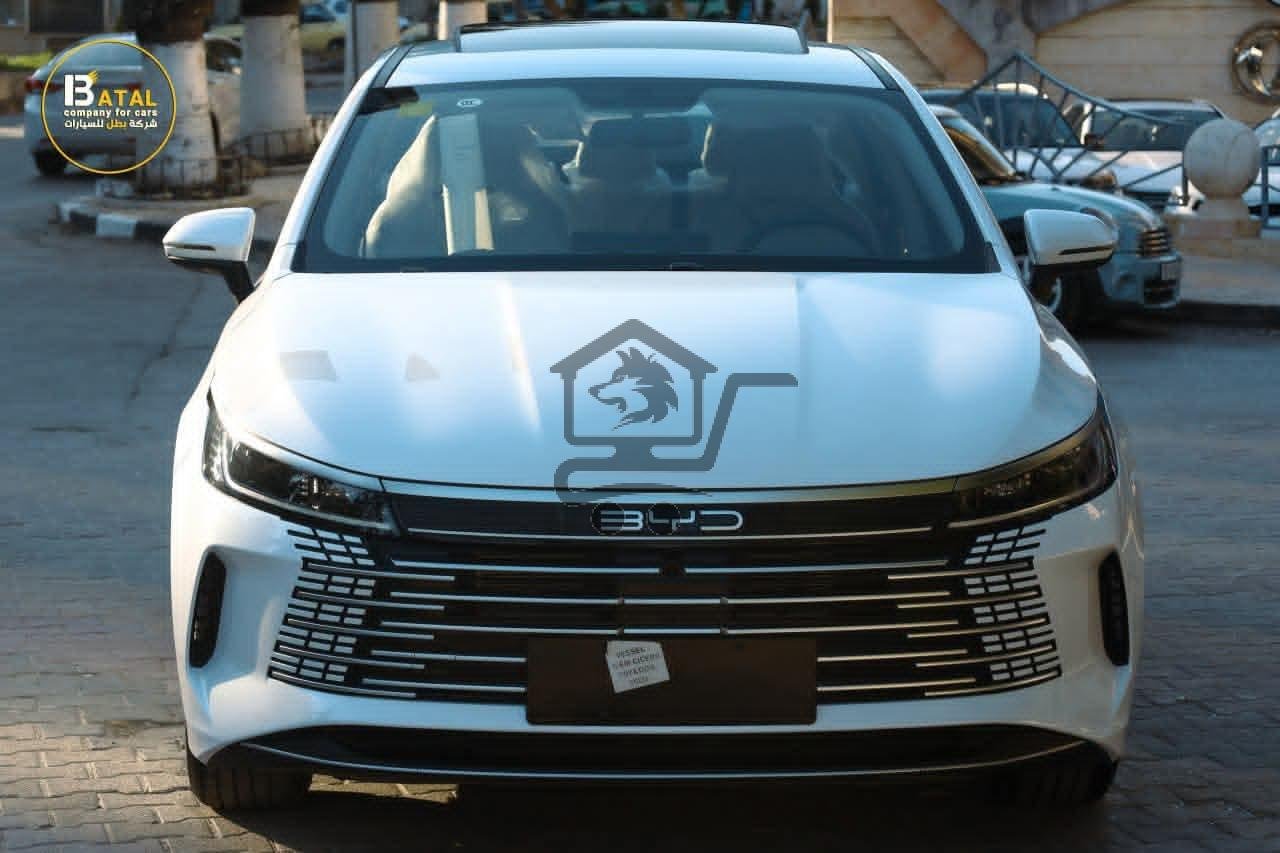 BYD DESTROYER - الصورة 9