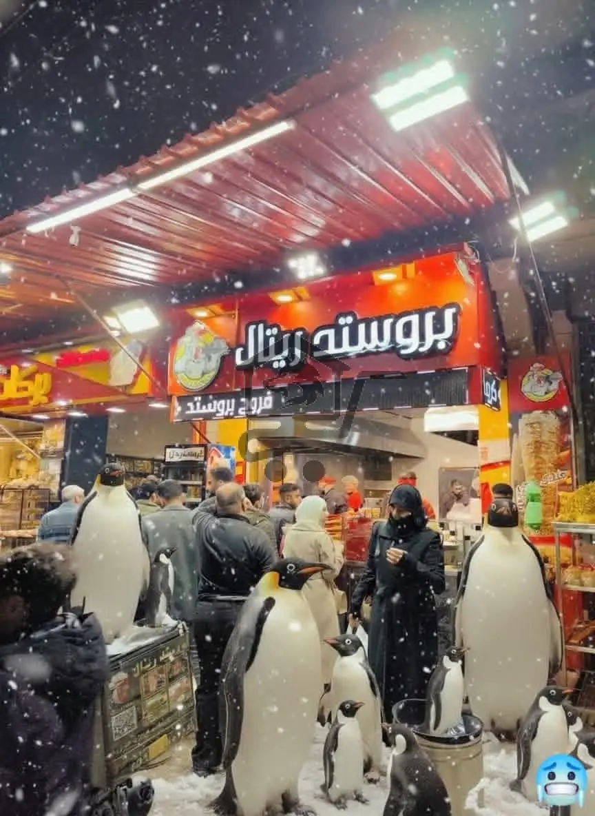 بروستد ريتال - الصورة 2