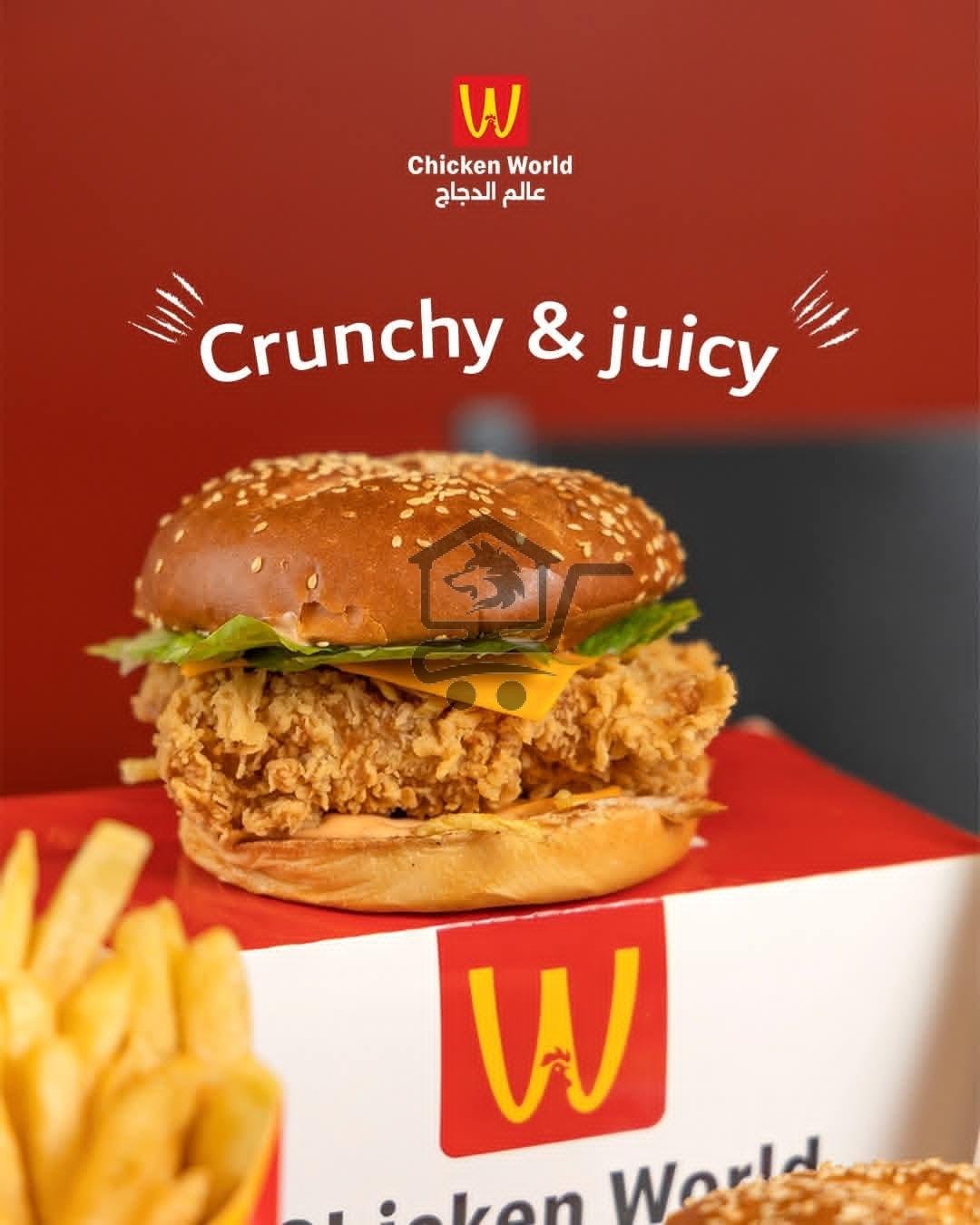 مطعم عالم الدجاج - الصورة 4