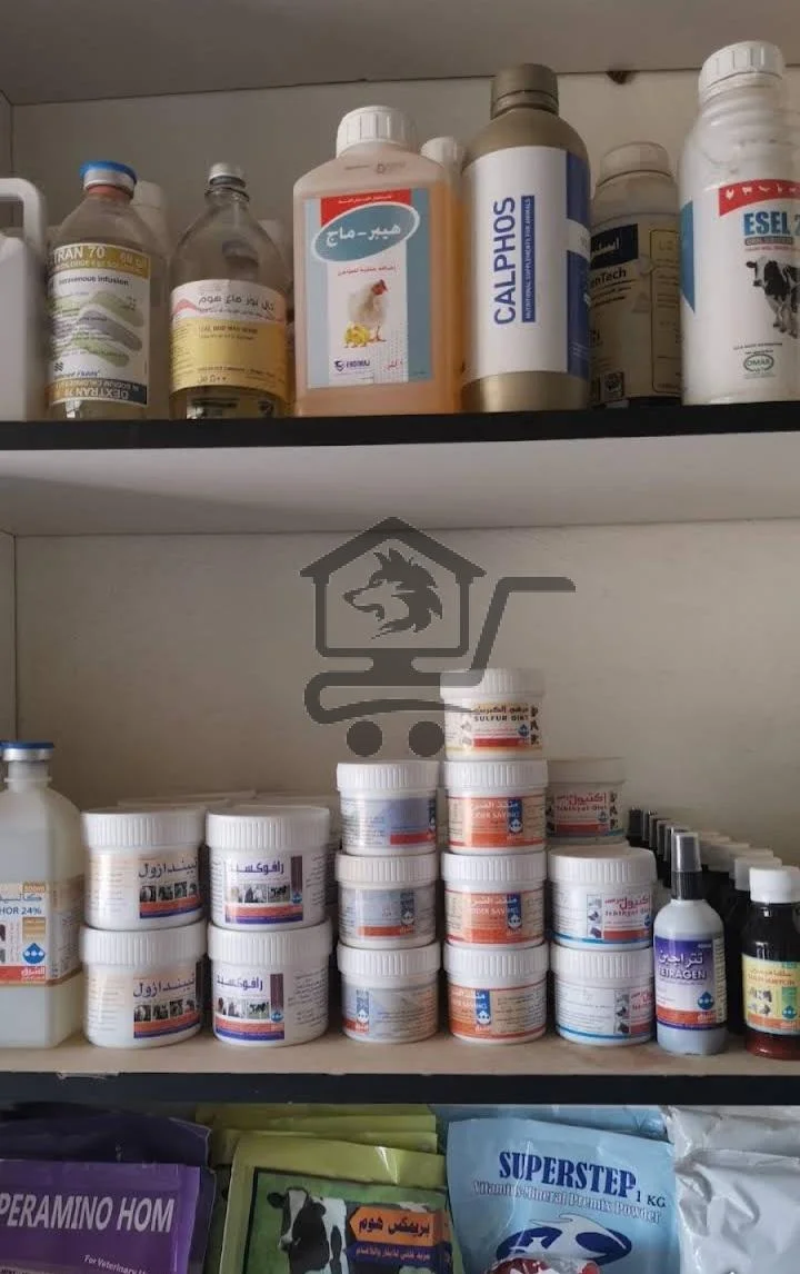 مستودع الشفاء - الصورة 1