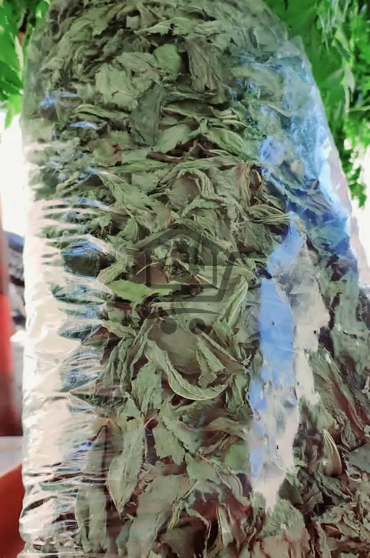 بهارات نوح زعتر النجم الشمالي - الصورة 2