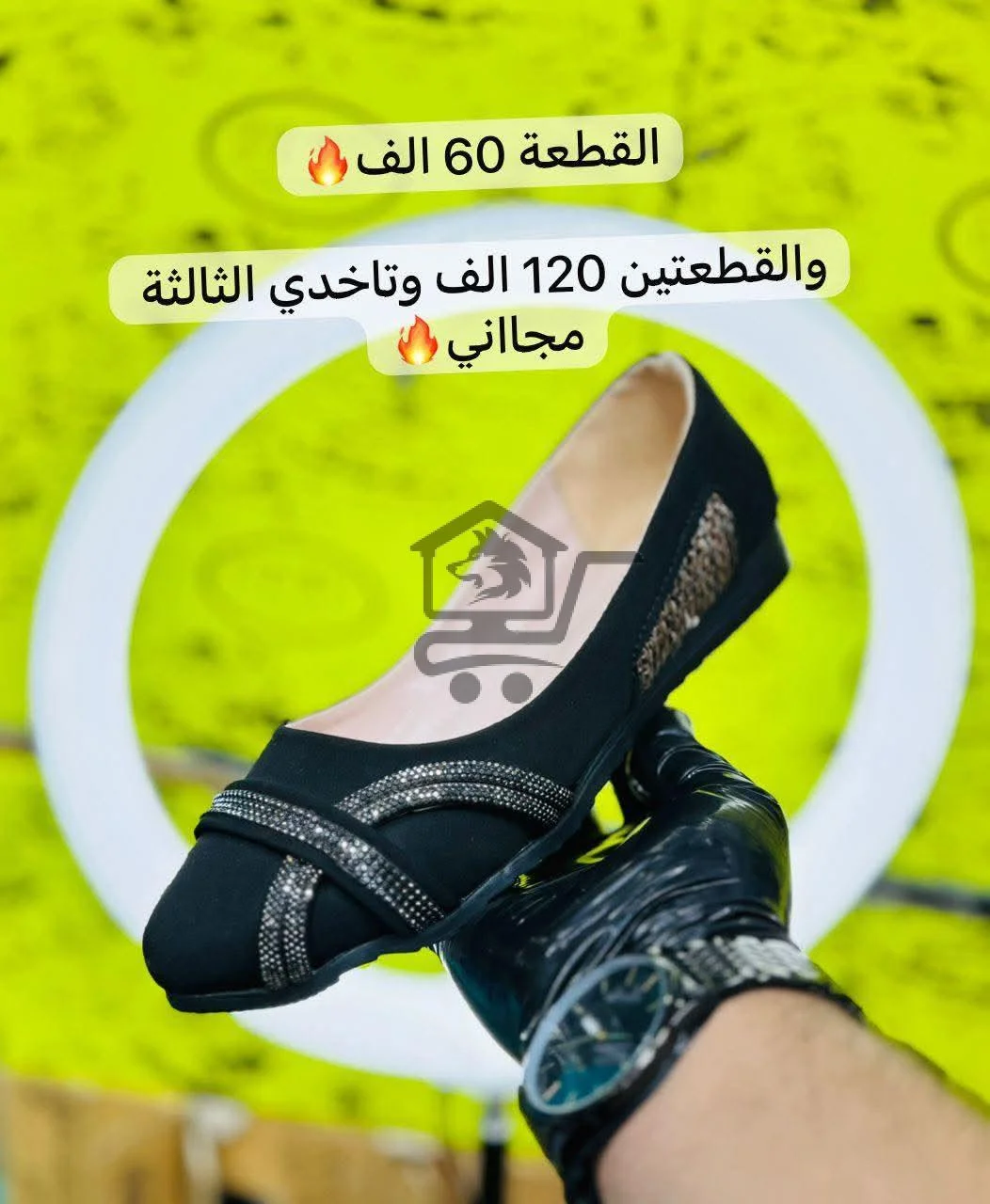 كندرة زحف - الصورة 5