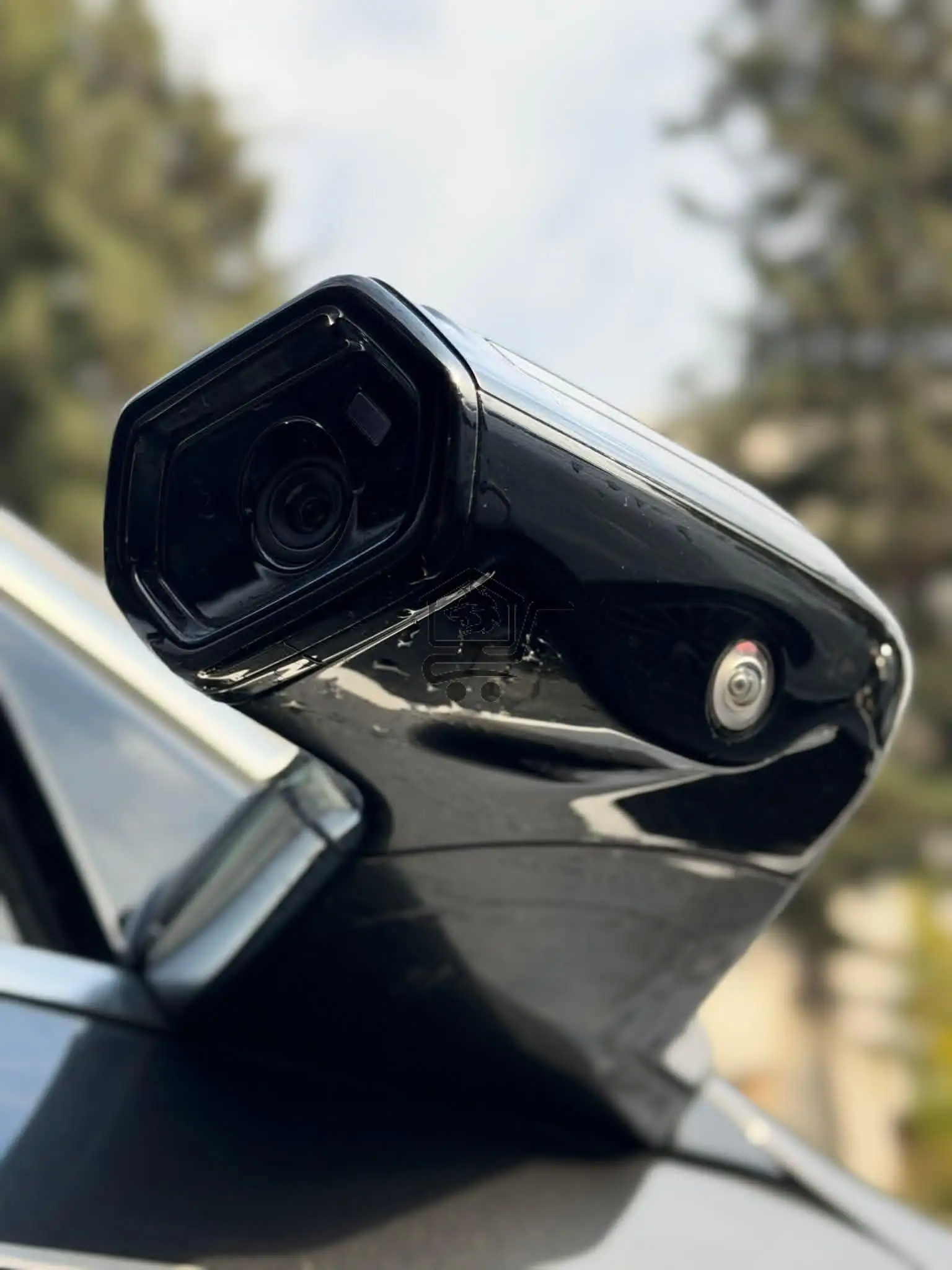 Avatar 12 - الصورة 3