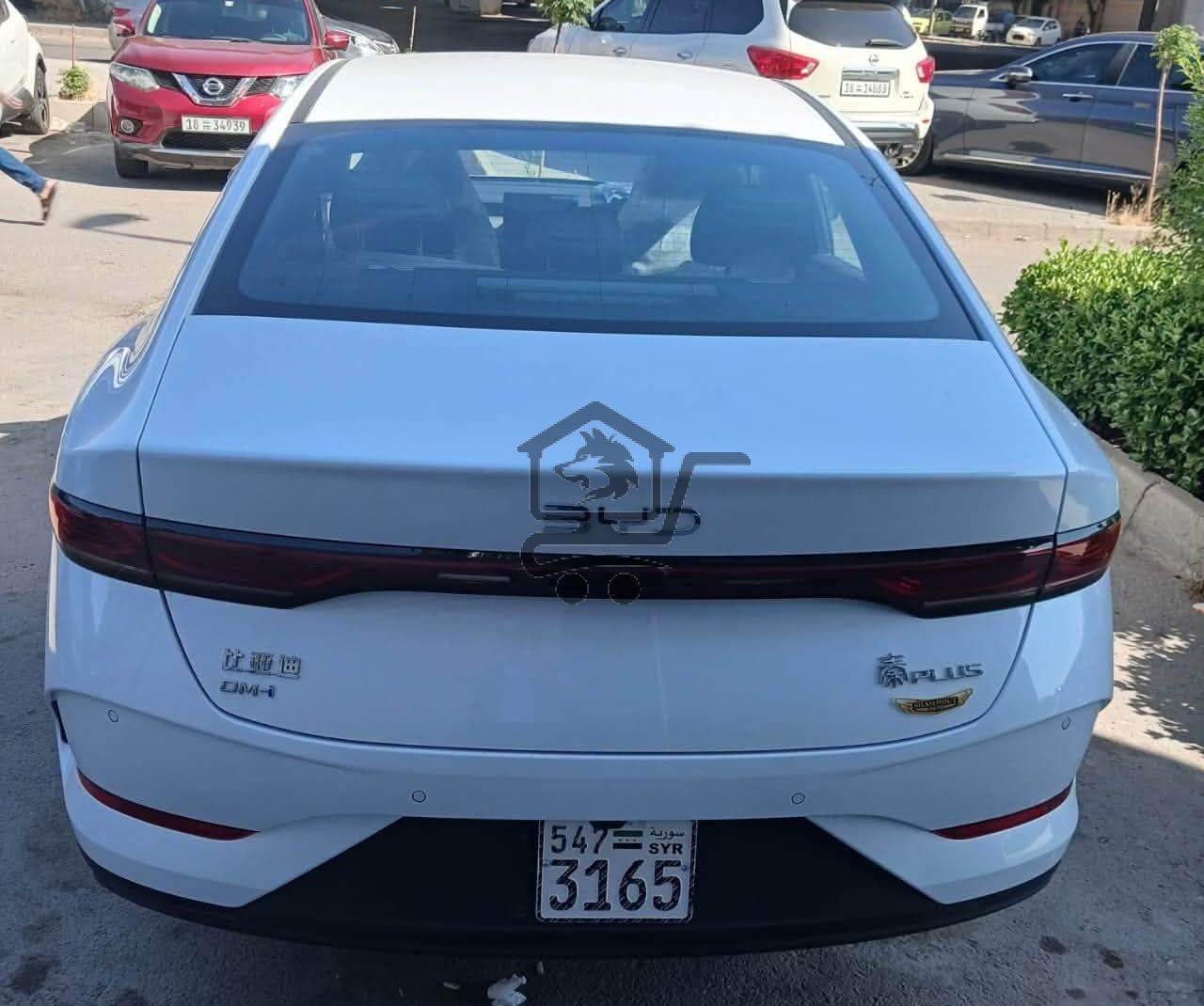 BYD Qin Plus 2026 - الصورة 2