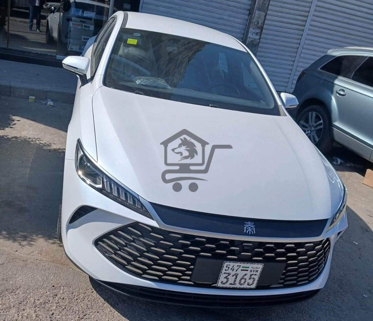 BYD Qin Plus 2026 - الصورة 1