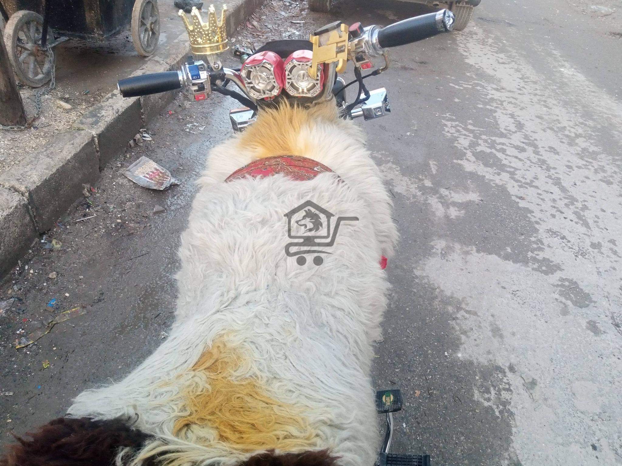 موتور للبيع - الصورة 3