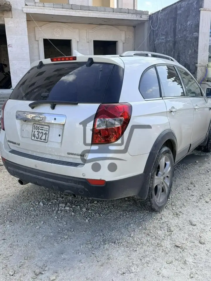 شفر كابتيفا مازوت 2011 - الصورة 4