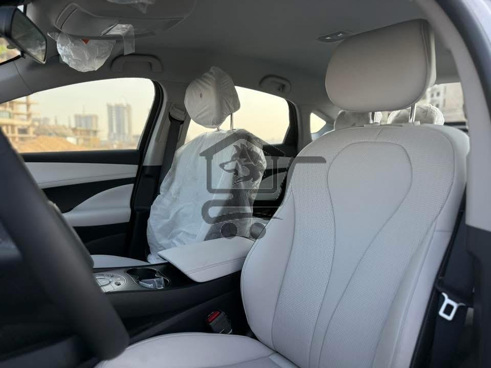 BYD - الصورة 7