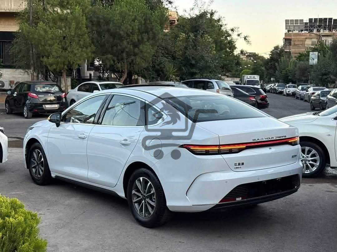 BYD - الصورة 3