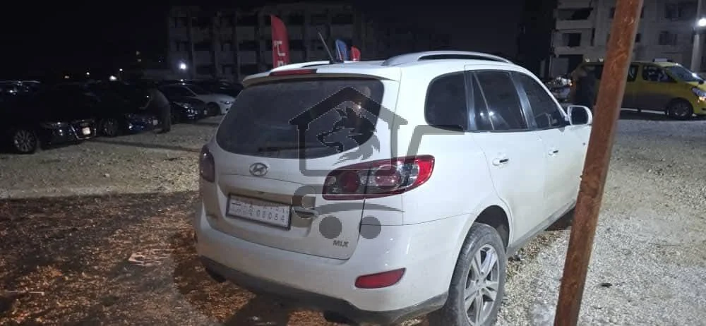 هوندا سي ام ٢٠١٠ - الصورة 8