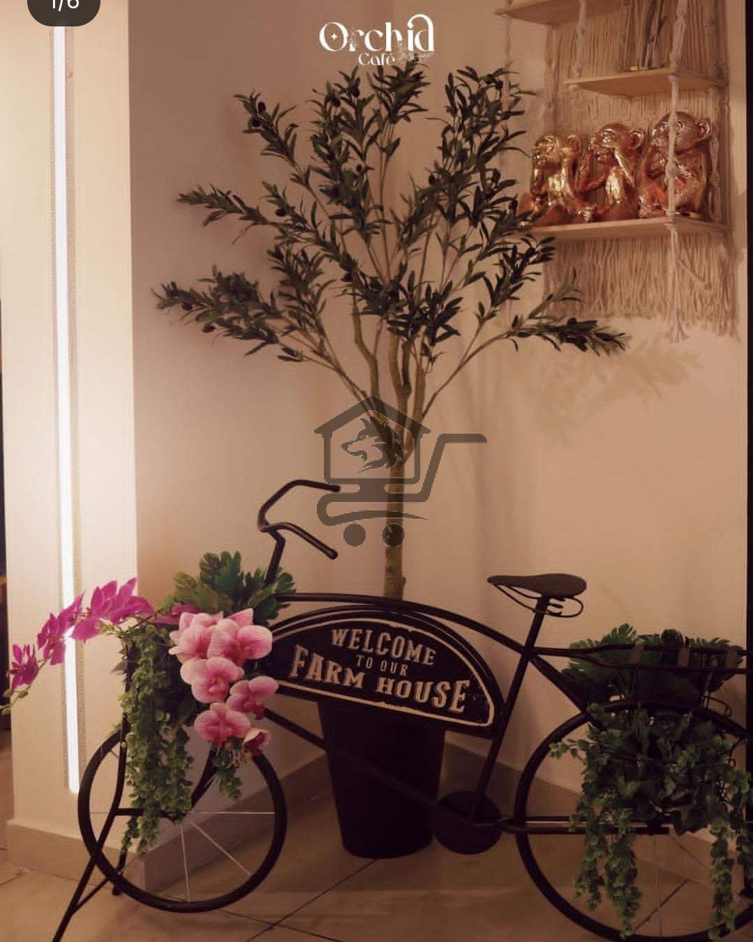 Orchid cafe Aleppo - الصورة 5