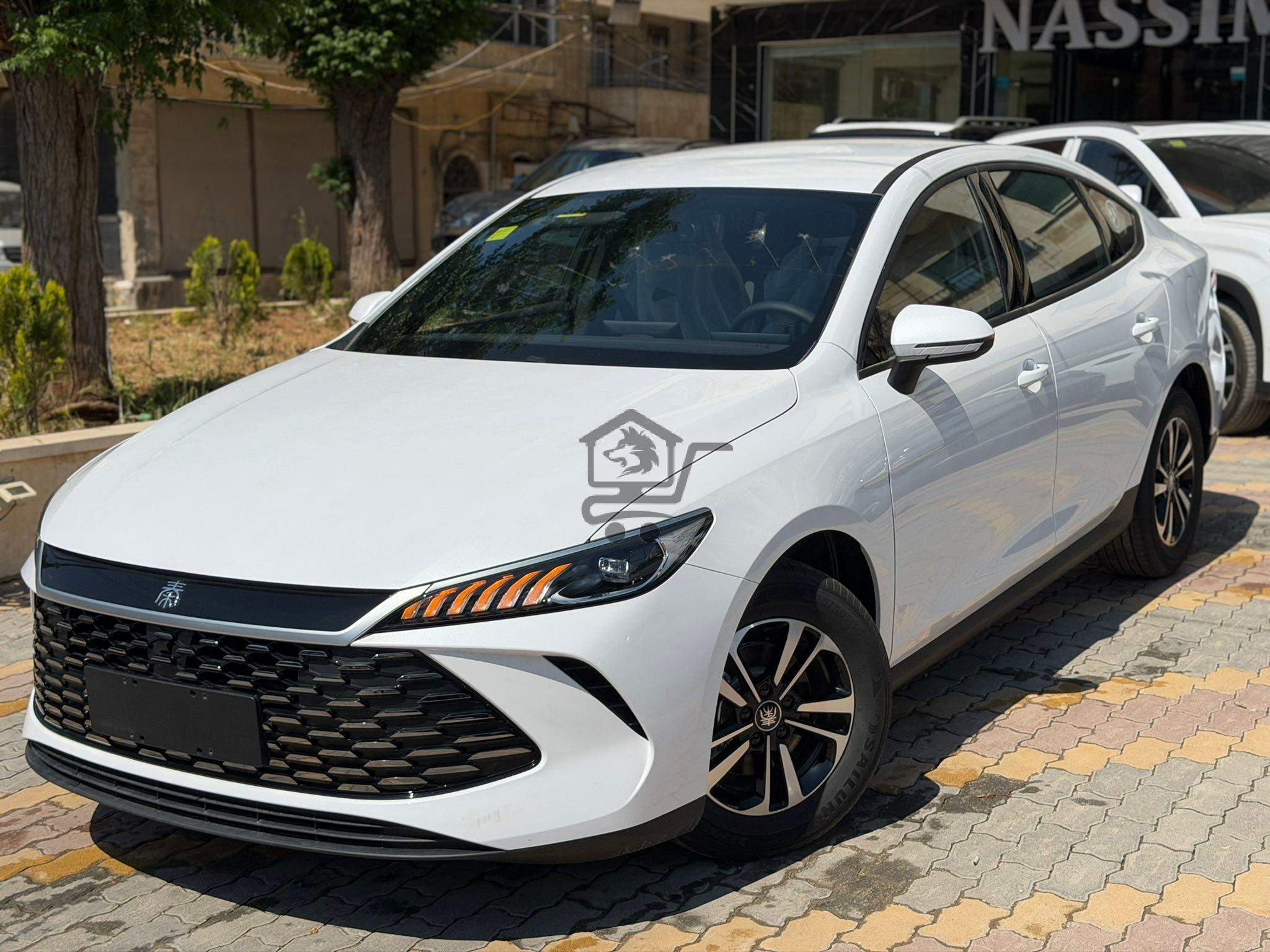 BYD Qin Plus 2025 - الصورة 1