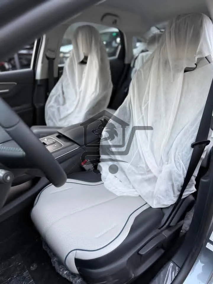 BYD Destroyer - الصورة 3