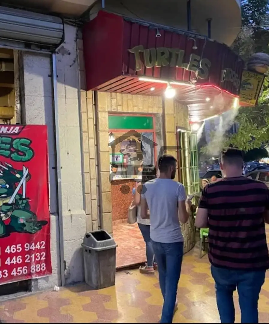 السلاحف - الصورة 1