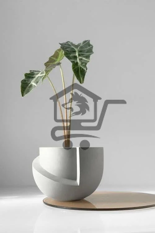 المشتل الحلبي لتجهيز الحديقة - الصورة 2