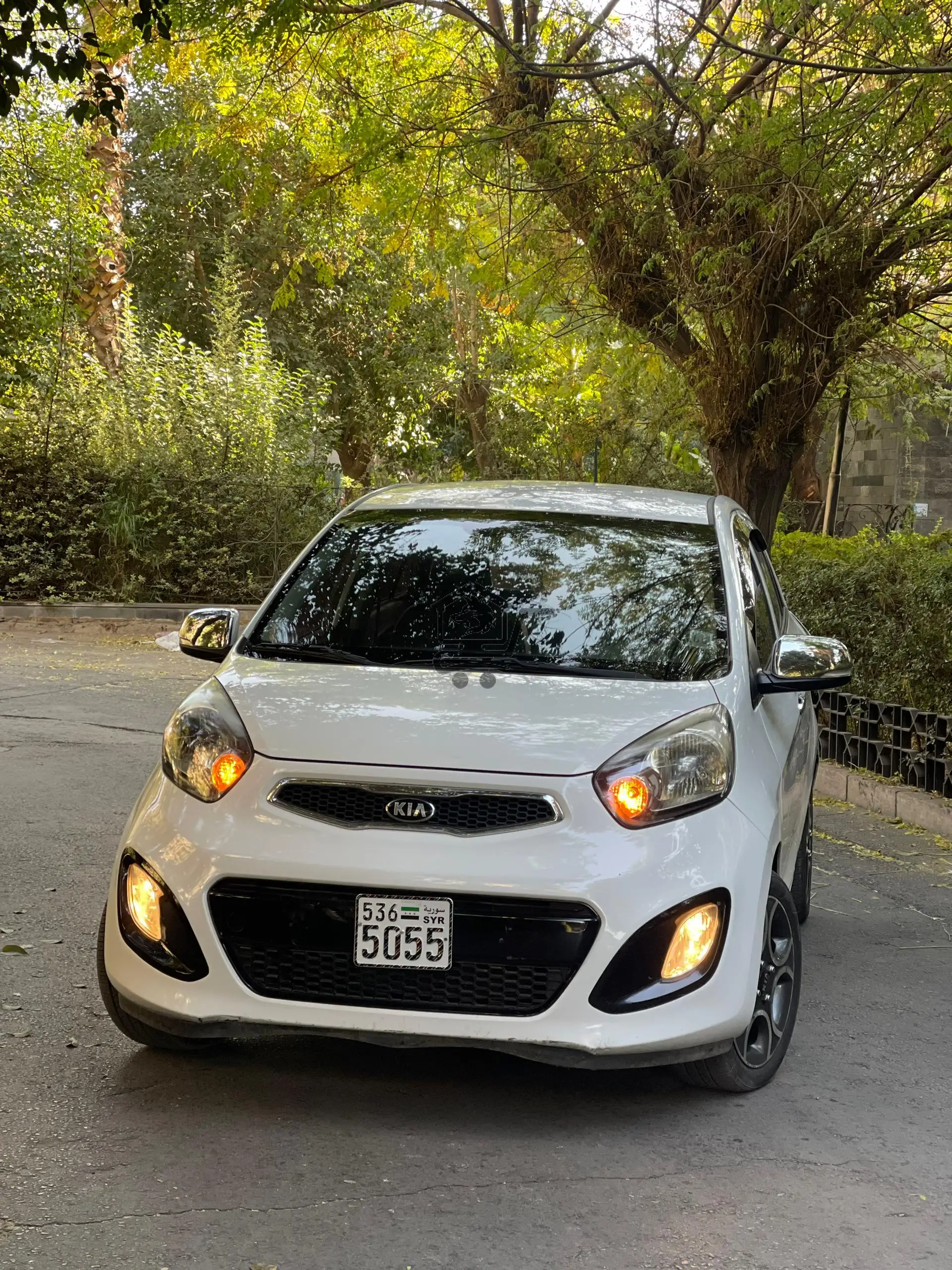 Kia_bikanu.   2015 - الصورة 3