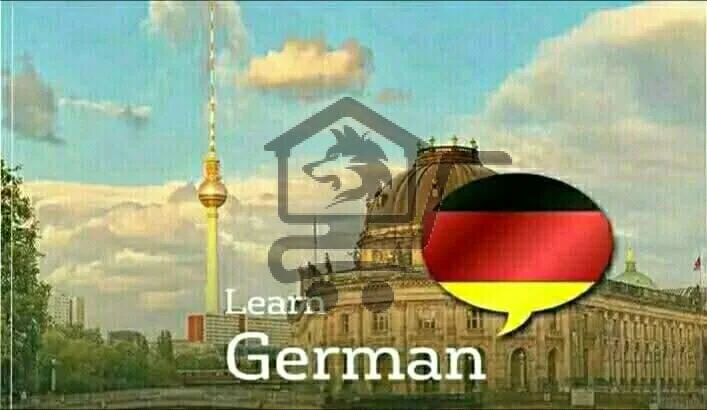 معهد أوغاريت Ugarit Institute - الصورة 3