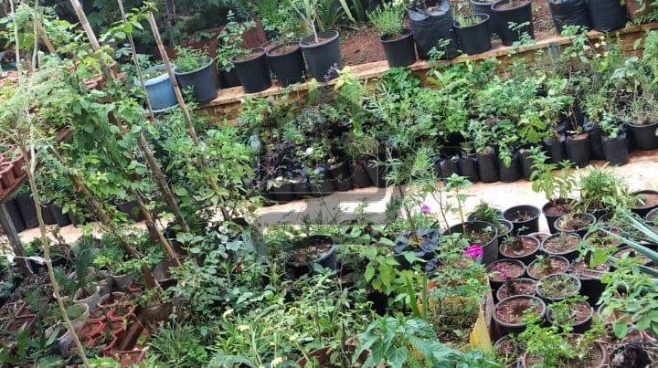 مشتل البيان - الصورة 1