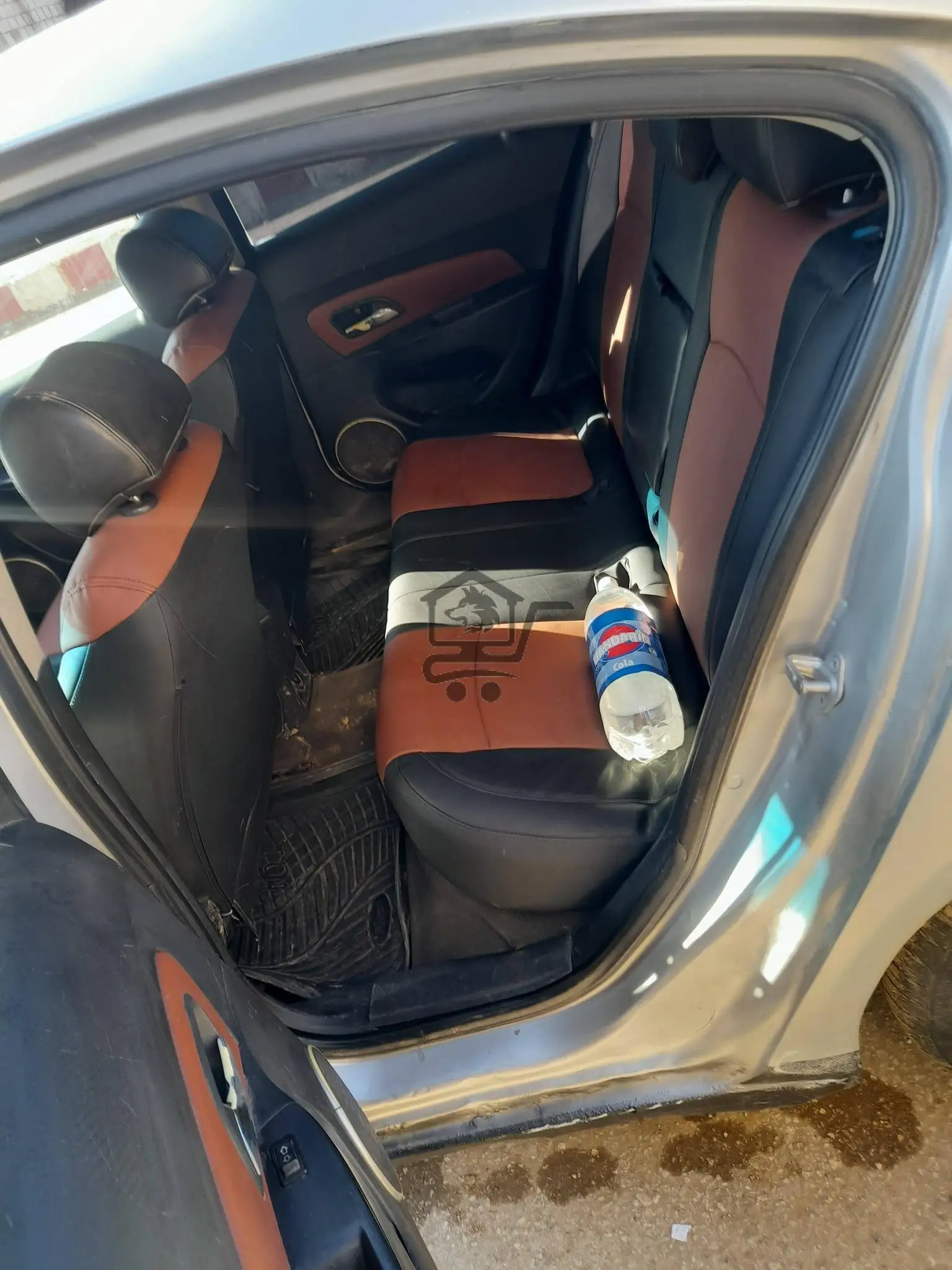 شفر كروز  2010 - الصورة 8