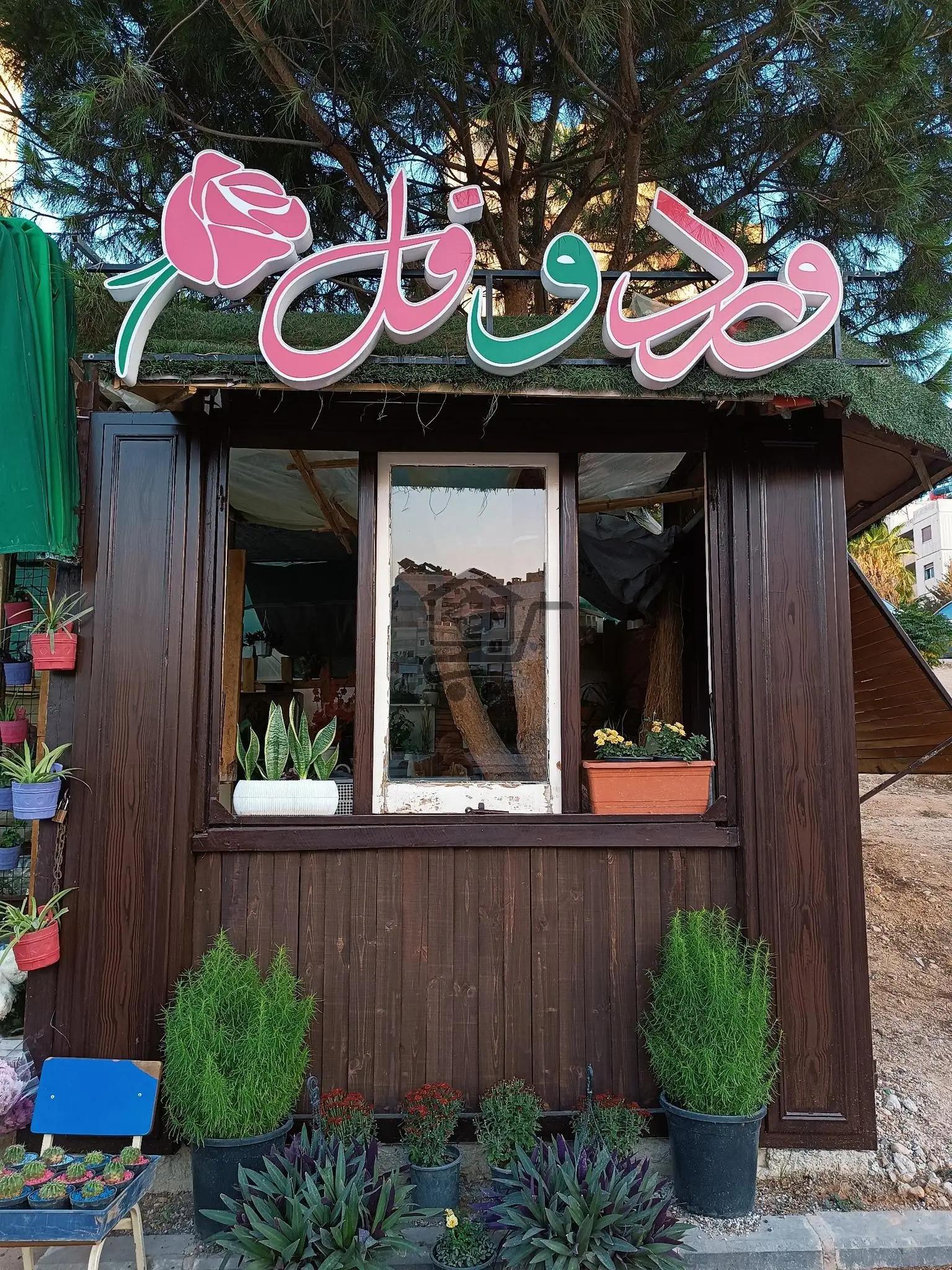 ورد وفل - الصورة 2