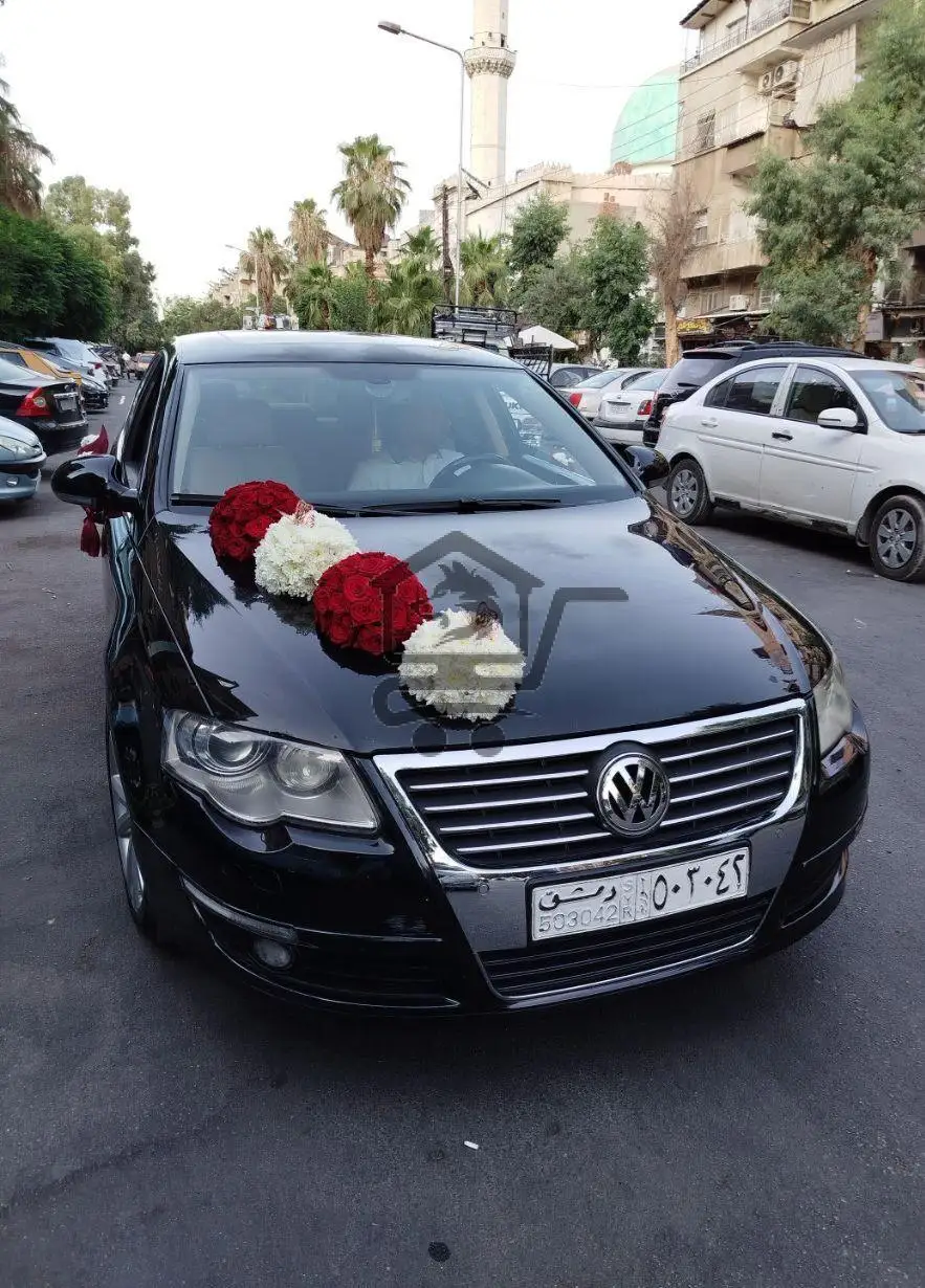 ازهار صلاح الدين - الصورة 3