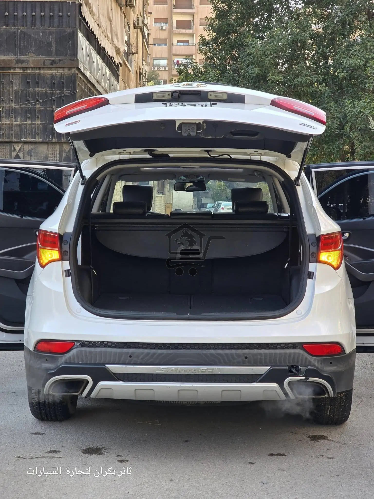 دي ام 2013 - الصورة 6