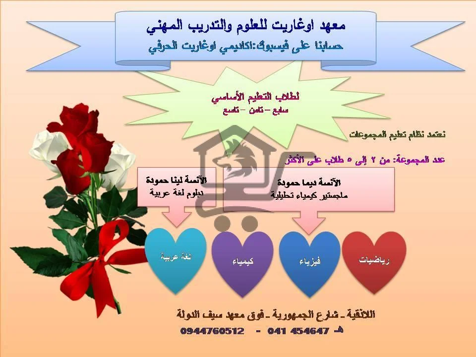 معهد أوغاريت للتدريب الحرفي والمهني - الصورة 3