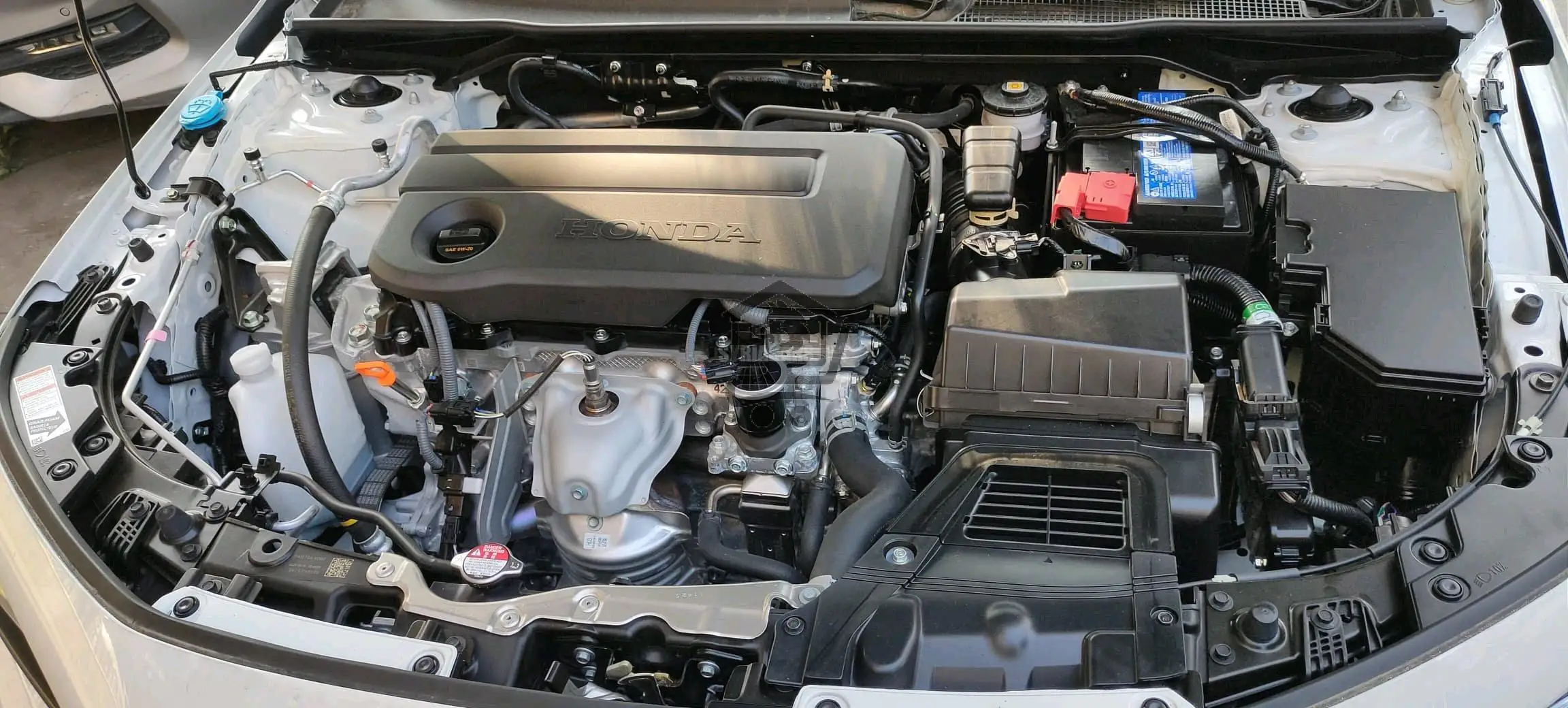 هوندا - Honda سيفيك - Civic - الصورة 6