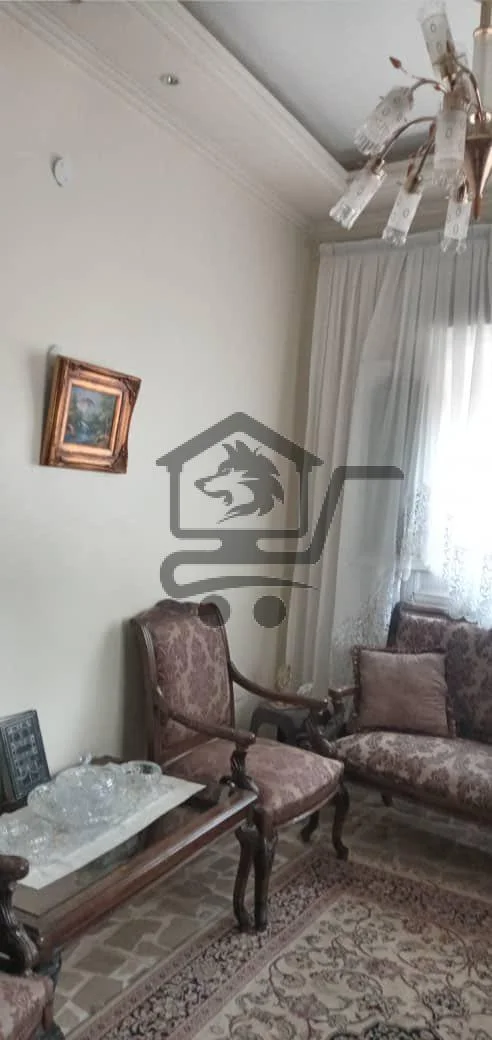 حلب شارع النيل - الصورة 2