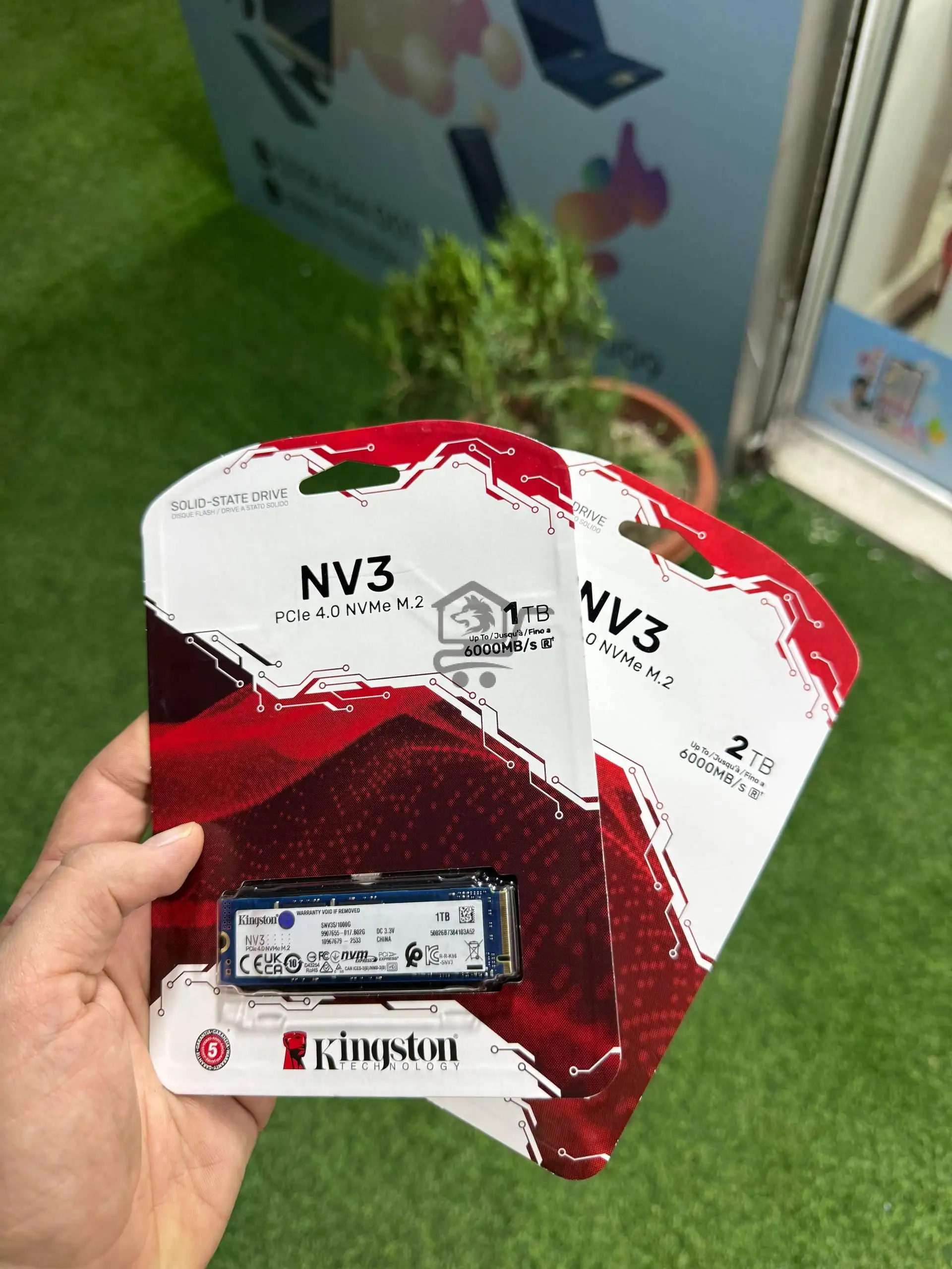 هارد ssd nvme kingston