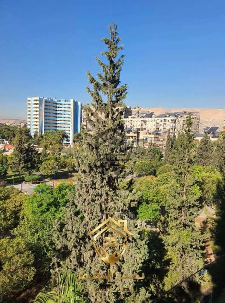 شقة بموقع حيوي - الصورة 8