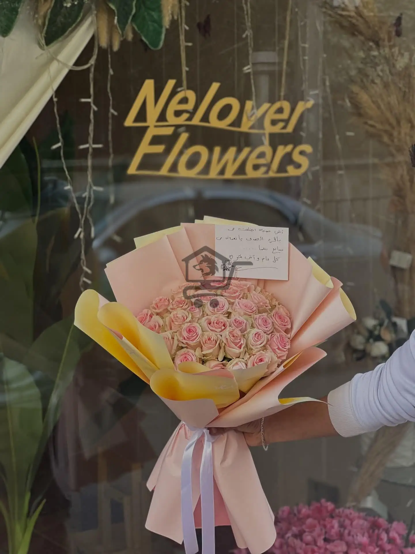 بوكيه جامبو - الصورة 3