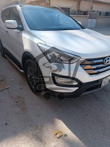 دي ام  2013 - الصورة 4