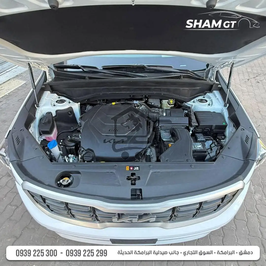 KIA TELLURIDE 2025 - الصورة 10