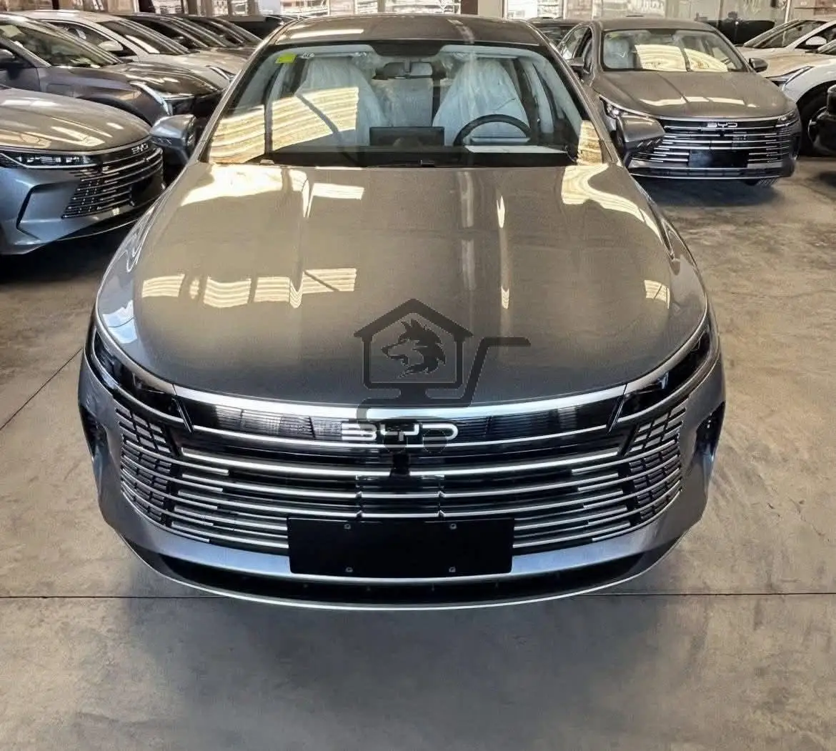 BYD - الصورة 1